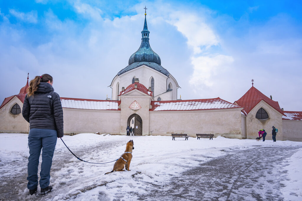 Socializace psa – pes by měl zůstat v klidu a netahat, vysvětluje odbornice a psí trenérka Jitka Hrdinová.